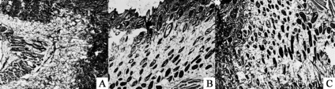 pagenumber_ebook=136,pagenumber_book=128