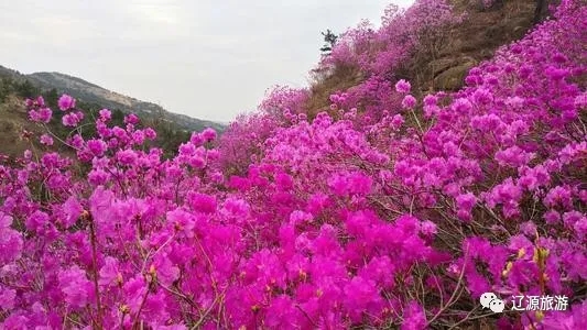 640.webp (5) 640.webp (5).jpg