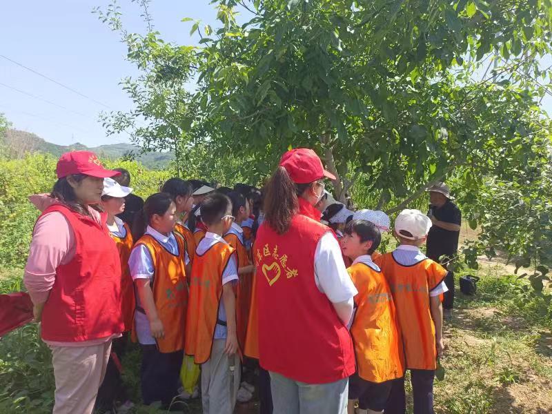 a98b5283802b38f8168abd8463a91ed