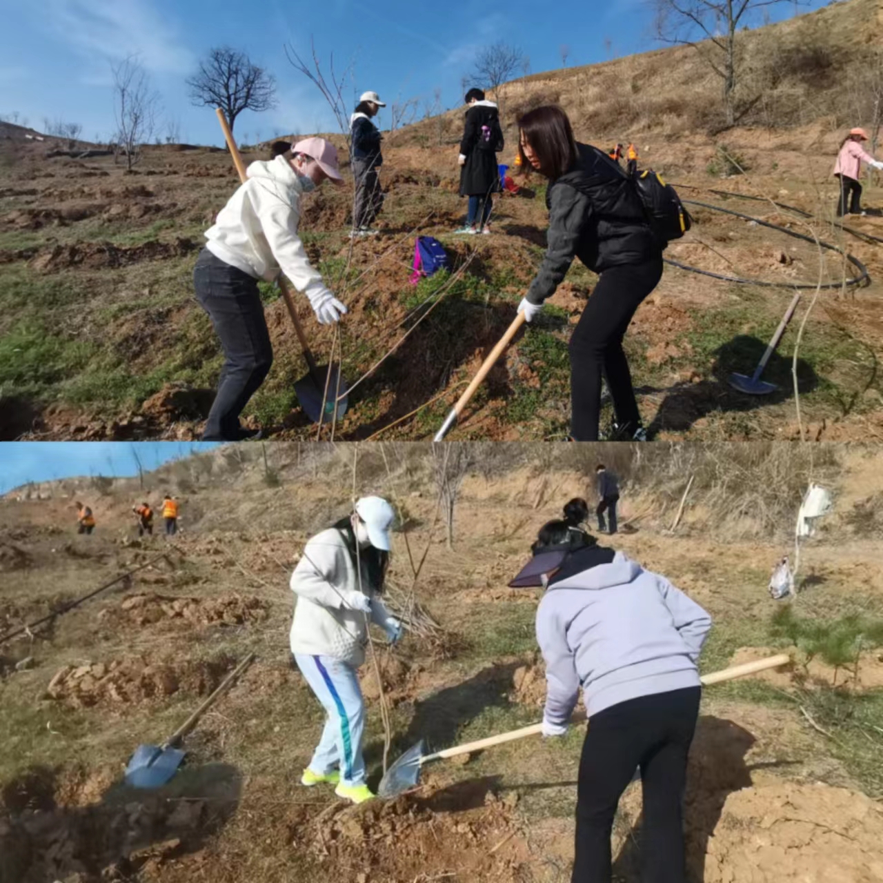 微信图片_20230310172705 微信图片_20230310172705.jpg?v=1763142747641