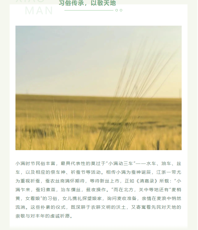image.png?v=1780832900752