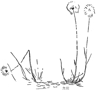 pagenumber_ebook=311,pagenumber_book=303