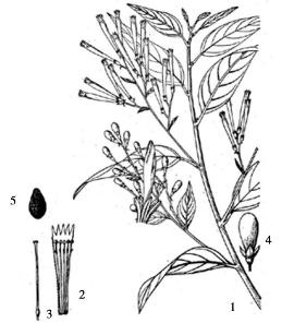 pagenumber_ebook=167,pagenumber_book=167