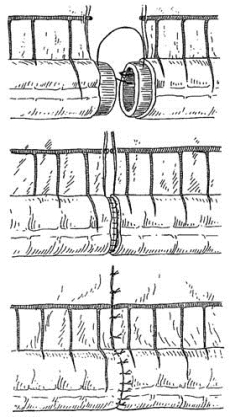 pagenumber_ebook=375,pagenumber_book=360