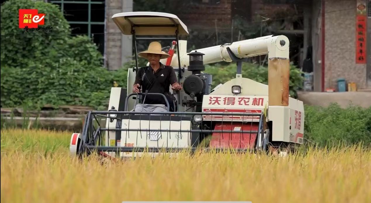 图片43 图片43.png