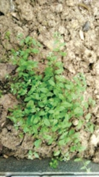 pagenumber_ebook=153,pagenumber_book=145