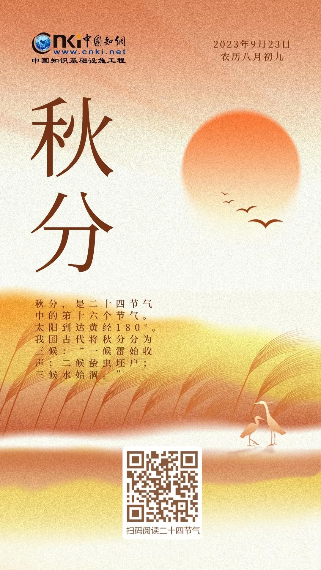 推.jpg?v=1751401943628