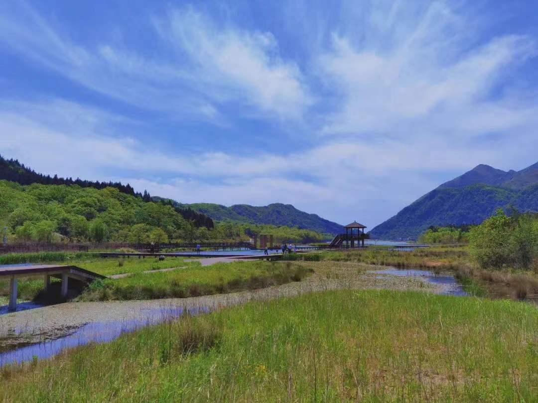 73b0514a13d51a9eab8fc0e86dff305 73b0514a13d51a9eab8fc0e86dff305.jpg?v=1762743078123