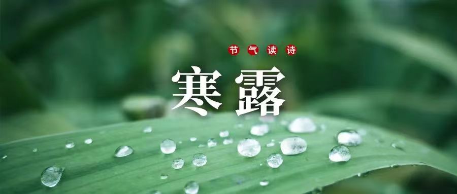 659045189 659045189.jpg