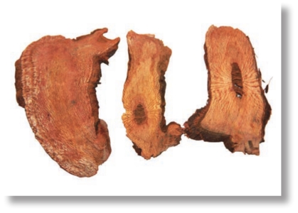 pagenumber_ebook=126,pagenumber_book=113