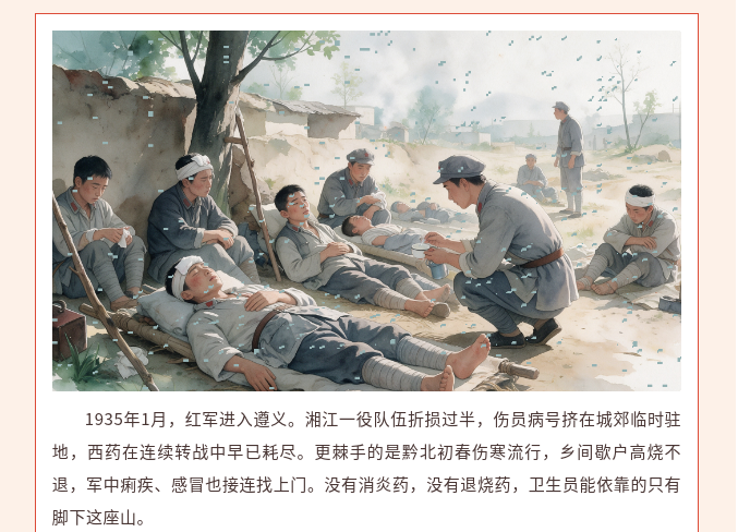 image.png?v=1792101750211