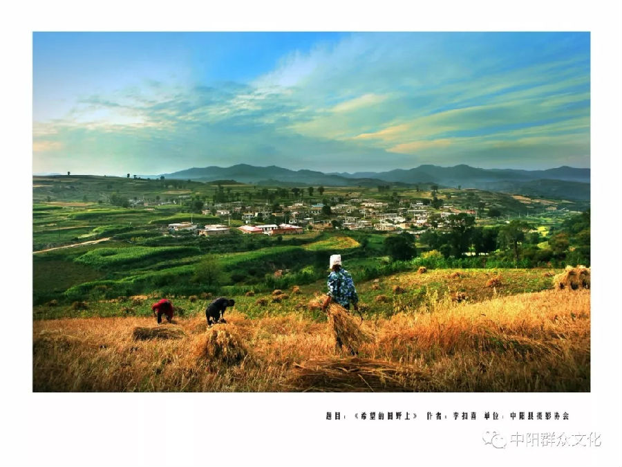 640.webp (18).jpg?v=1764880118725