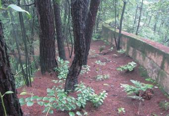 pagenumber_ebook=55,pagenumber_book=55