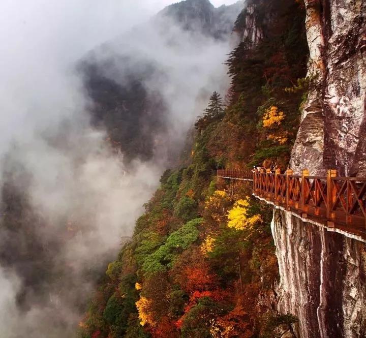 微信图片_20200712001607 微信图片_20200712001607.jpg