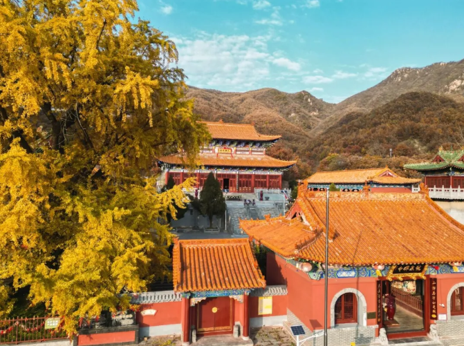 75cd5774c5f059d67514eb13070bc029png