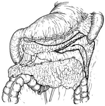 pagenumber_ebook=383,pagenumber_book=368
