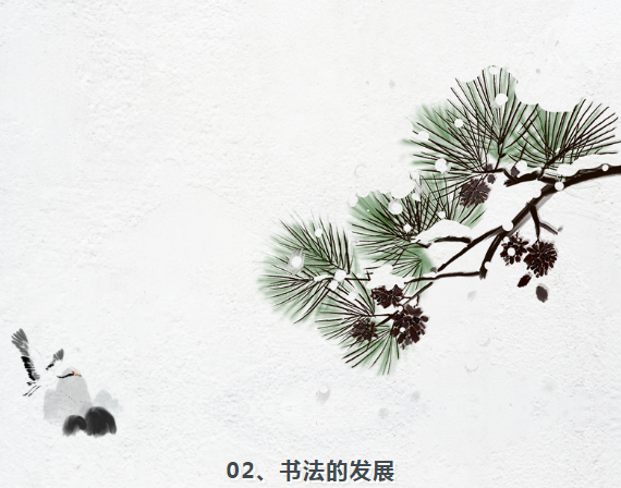 image.png?v=1750237114033