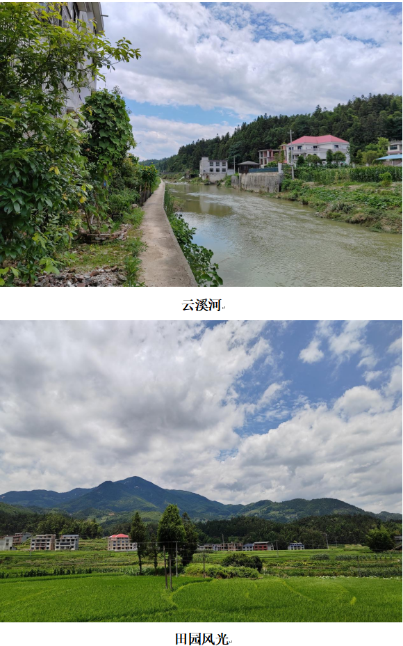 1732349864854 1732349864854.png