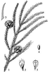 pagenumber_ebook=69,pagenumber_book=69