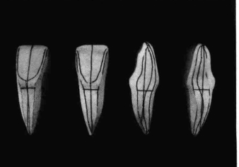 pagenumber_ebook=194,pagenumber_book=185