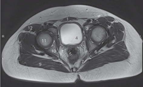 pagenumber_ebook=95,pagenumber_book=86