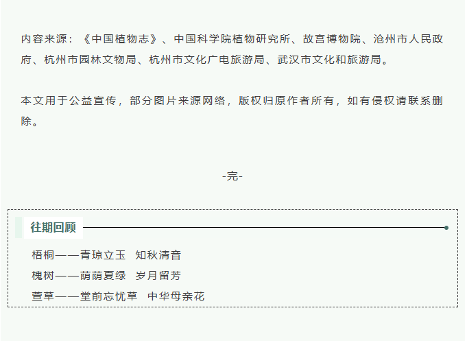 image.png?v=1766278434585