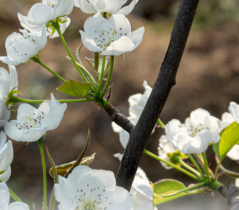 e5f45690aa928d583fa96250cc0894a8_640_wx_fmt=png&wx_co=1&wxfrom=5&wx_lazy=1 e5f45690aa928d583fa96250cc0894a8_640_wx_fmt=png&wx_co=1&wxfrom=5&wx_lazy=1.png