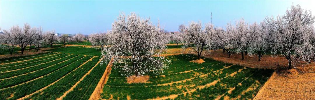 微信图片_20210318082800