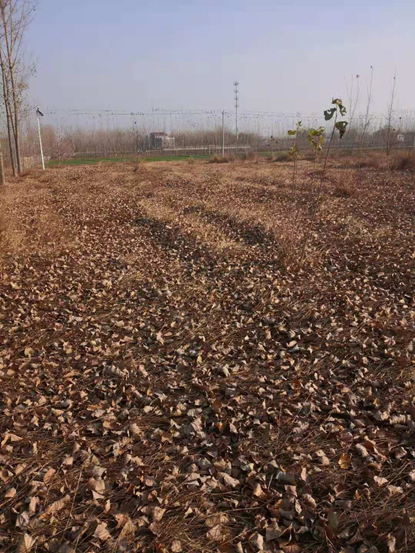 微信图片_20201130110042 微信图片_20201130110042.jpg