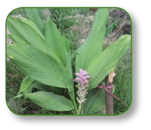 pagenumber_ebook=194,pagenumber_book=181