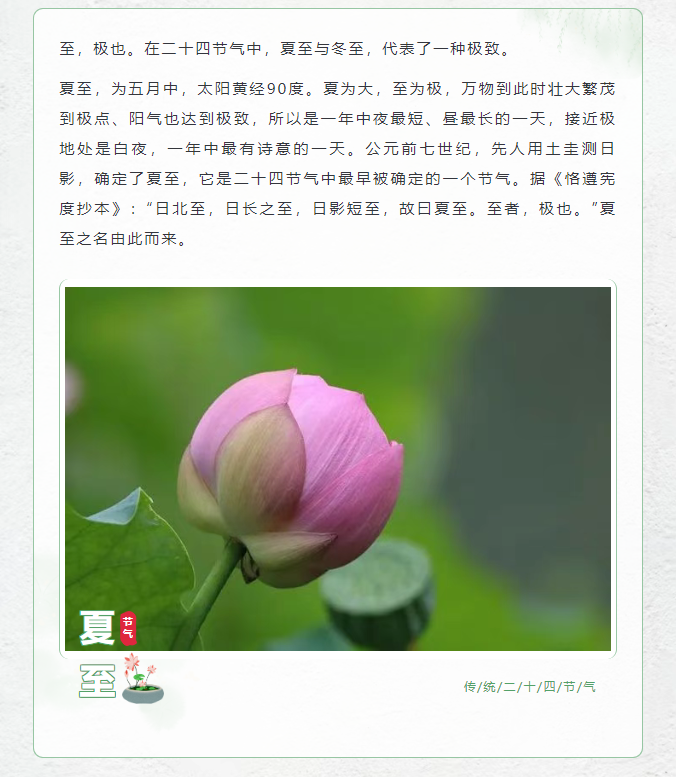 image.png?v=1751726100083