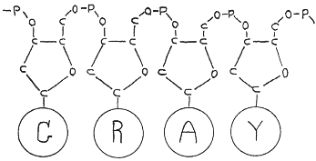 pagenumber_ebook=254,pagenumber_book=250