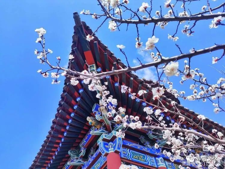 微信图片_20230414095932