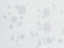 pagenumber_ebook=143,pagenumber_book=143