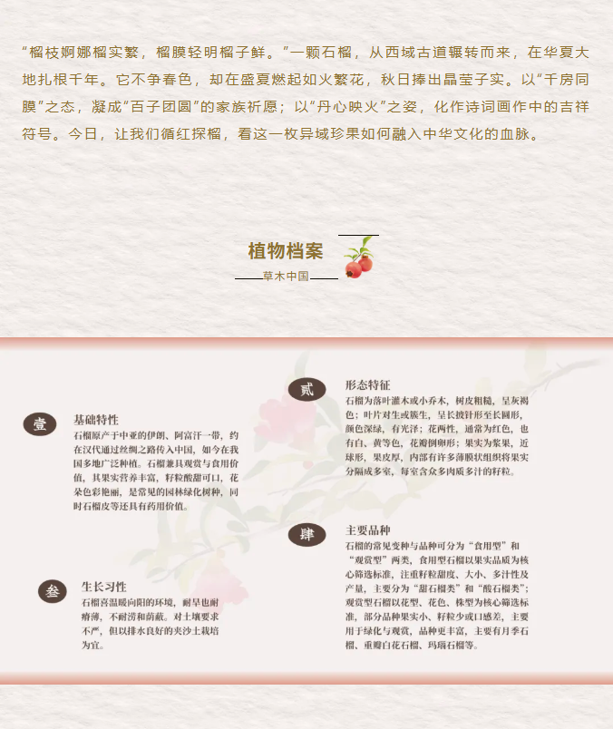 image.png?v=1762073883182