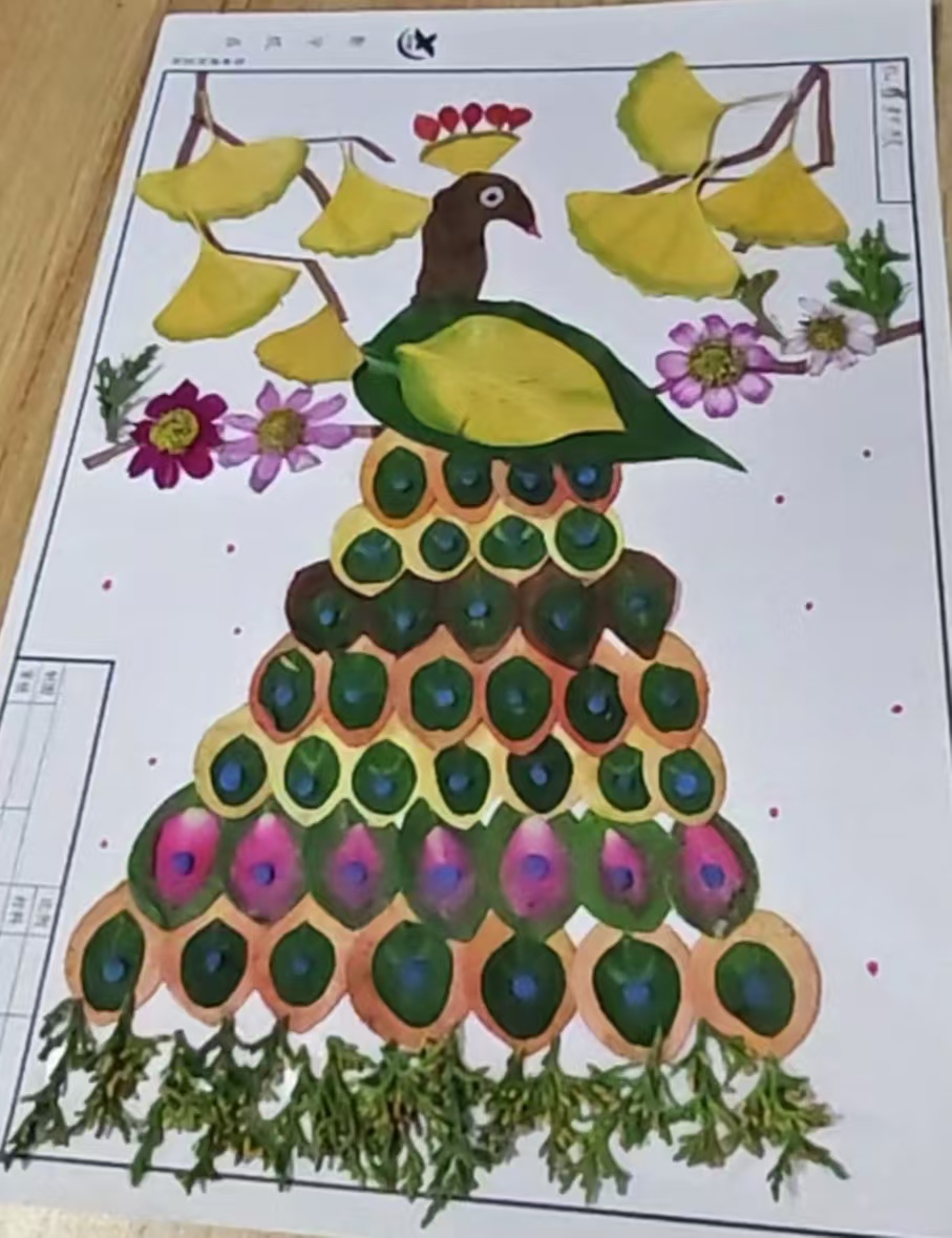 5 5.jpg?v=1762228718002