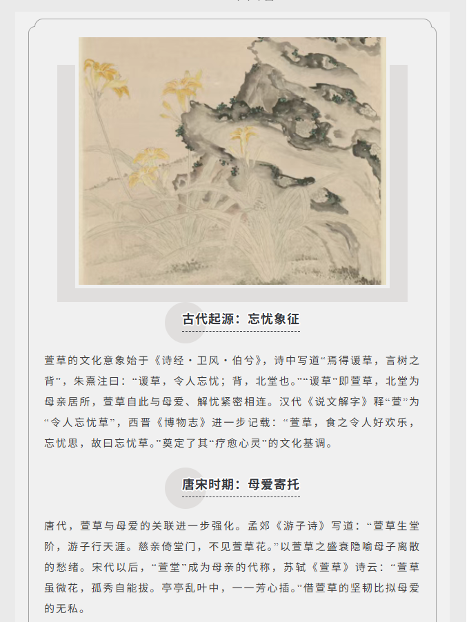 image.png?v=1766280841991