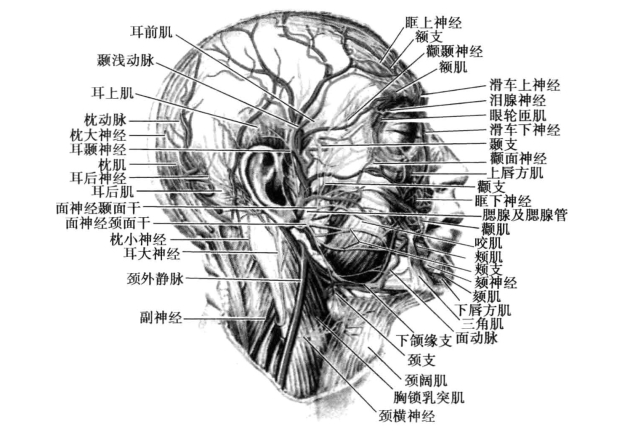 pagenumber_ebook=98,pagenumber_book=89