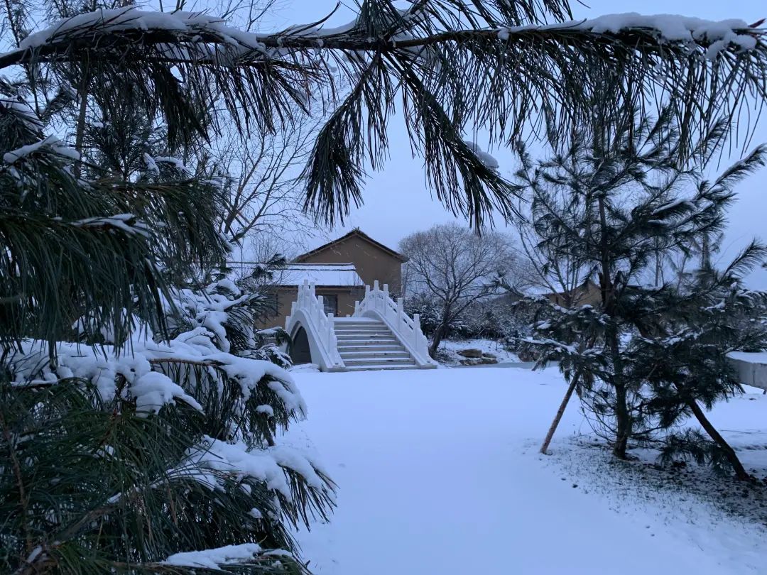 微信图片_20211116120201