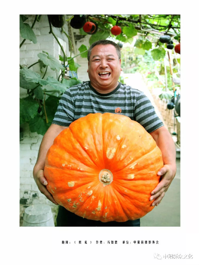 640.webp (38).jpg?v=1764880118725