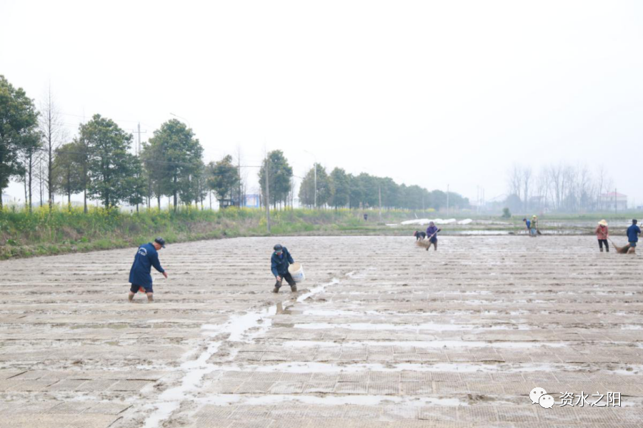 3 3.png?v=1765946374530