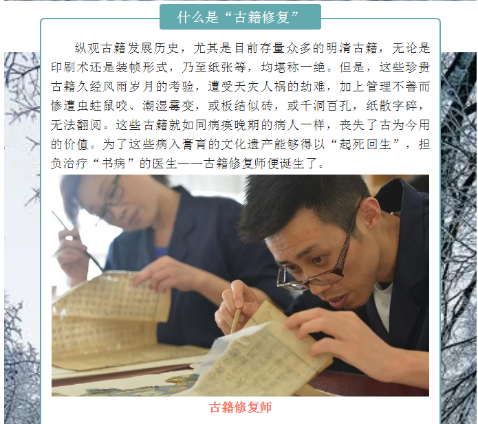 image.png?v=1754275719565