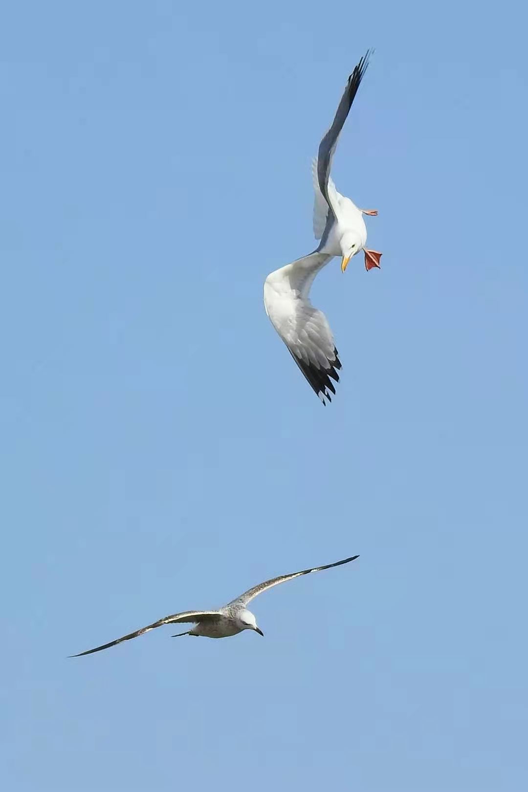 7a9c0ccd6c785b82f00721dc9d5a60c 7a9c0ccd6c785b82f00721dc9d5a60c.jpg