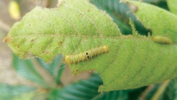 pagenumber_ebook=129,pagenumber_book=121