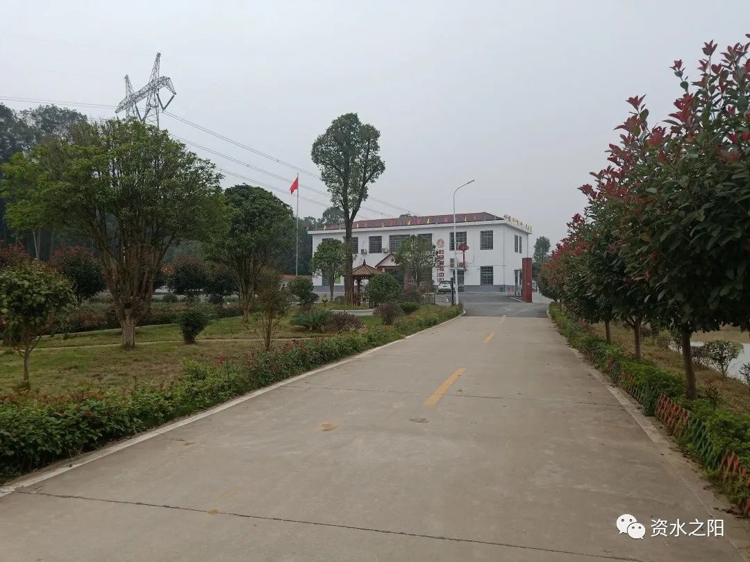 2 2.jpg?v=1765880721220