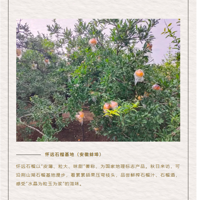 image.png?v=1762073883182