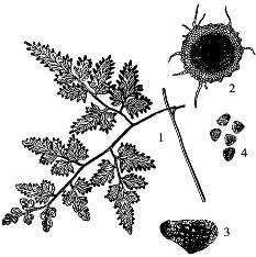 pagenumber_ebook=285,pagenumber_book=285