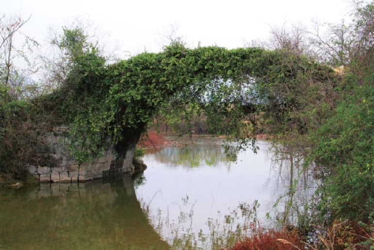 pagenumber_ebook=30,pagenumber_book=20