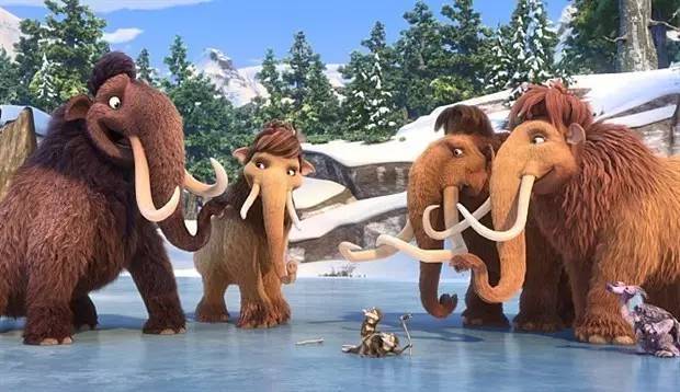 zm800-0 zm800-0.jpg?v=1762762053136