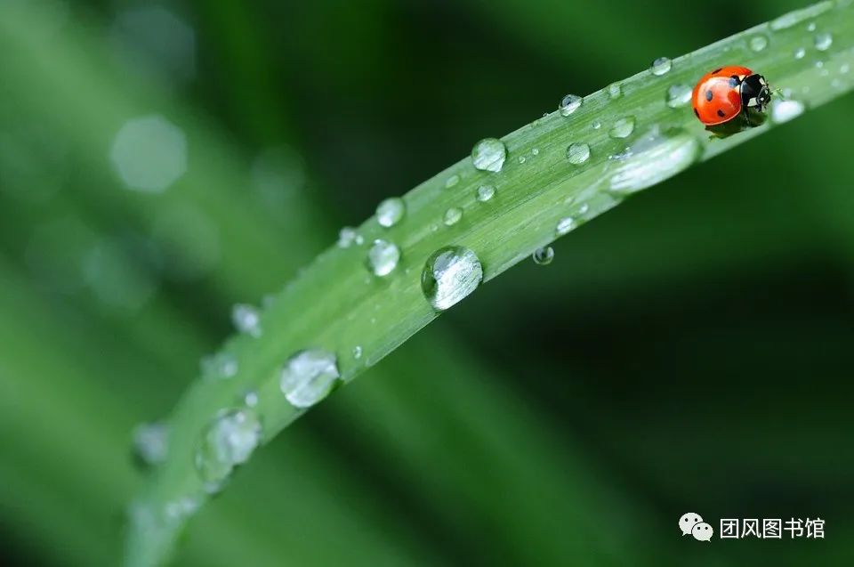 https://mmbiz.qpic.cn/mmbiz_jpg/0vxPvpiaWibUPwFXYGNz2PZBib4vfWhoZkhuknz14IMPiaHefxufS5P1jg4pIKdCHkuINZrvPa0zpgXwTJroXx2cag/640?wx_fmt=jpeg&wxfrom=5&wx_lazy=1&wx_co=1